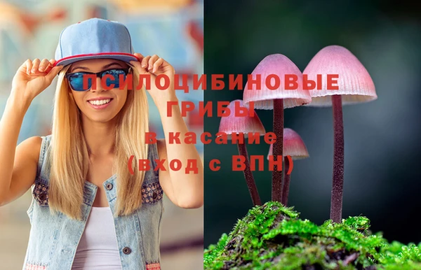 бутират Мегион