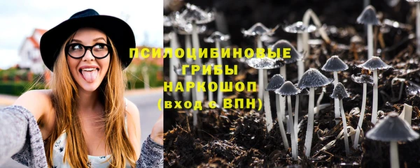 гидропоника Медногорск